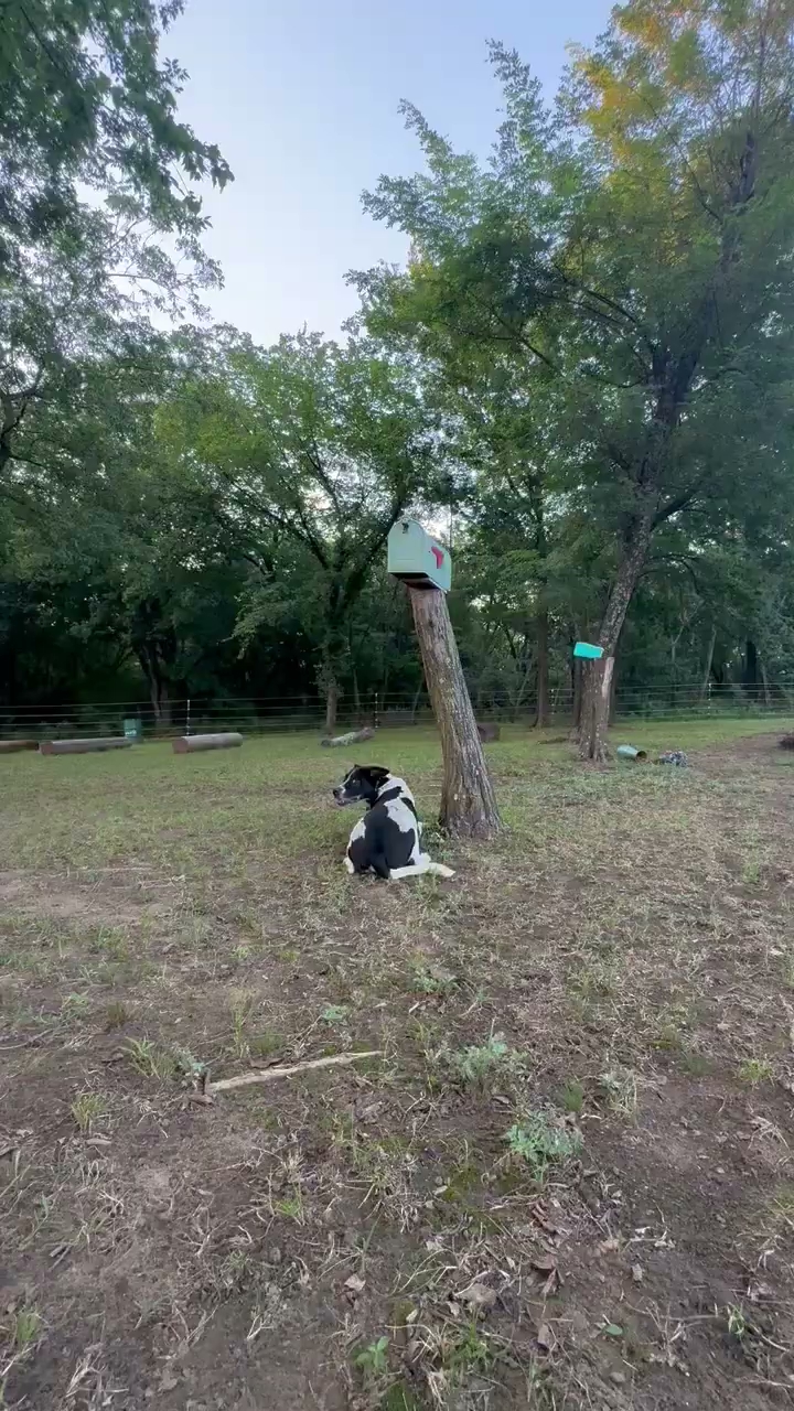 Training Adventures