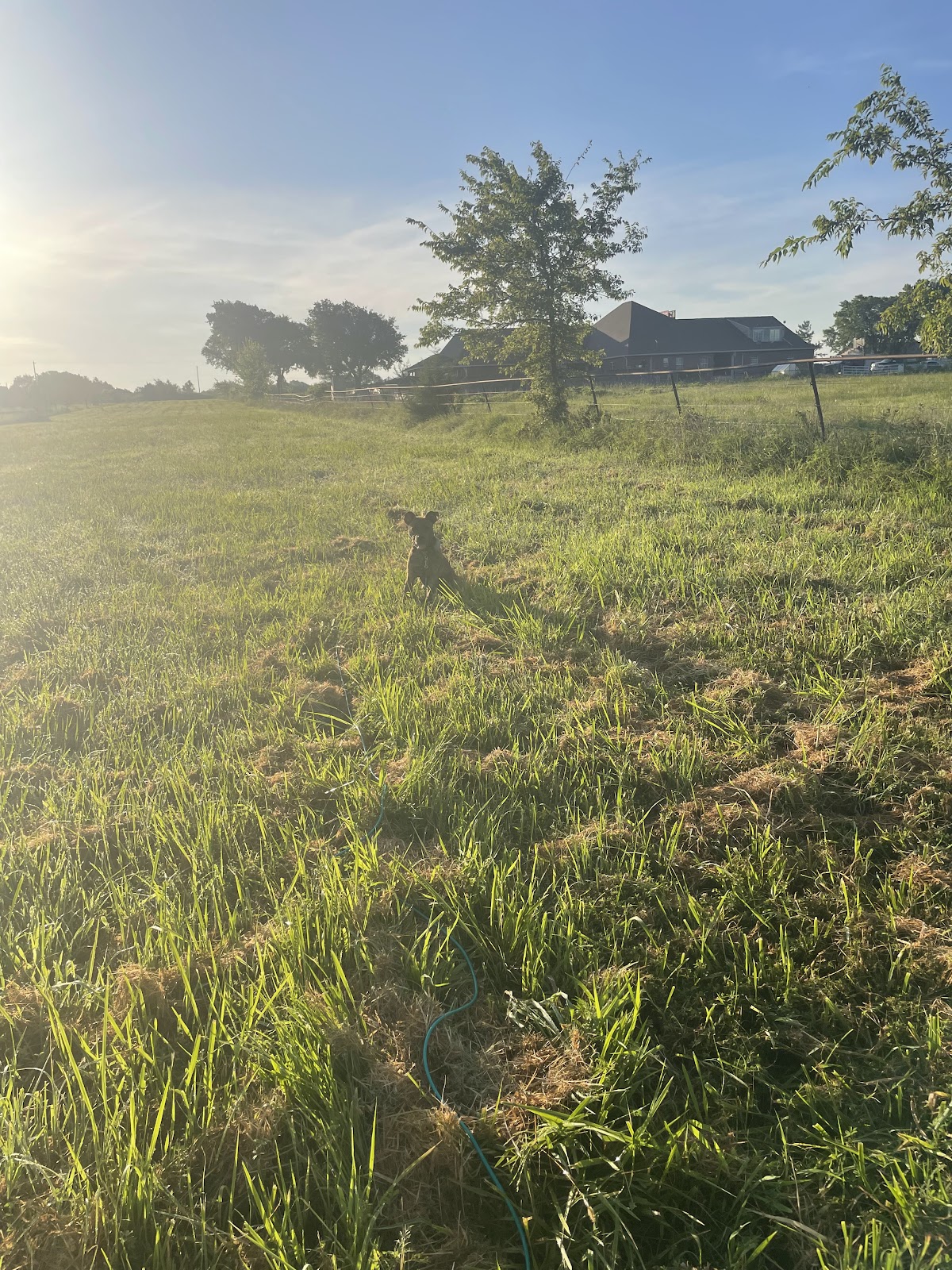 Farm Life