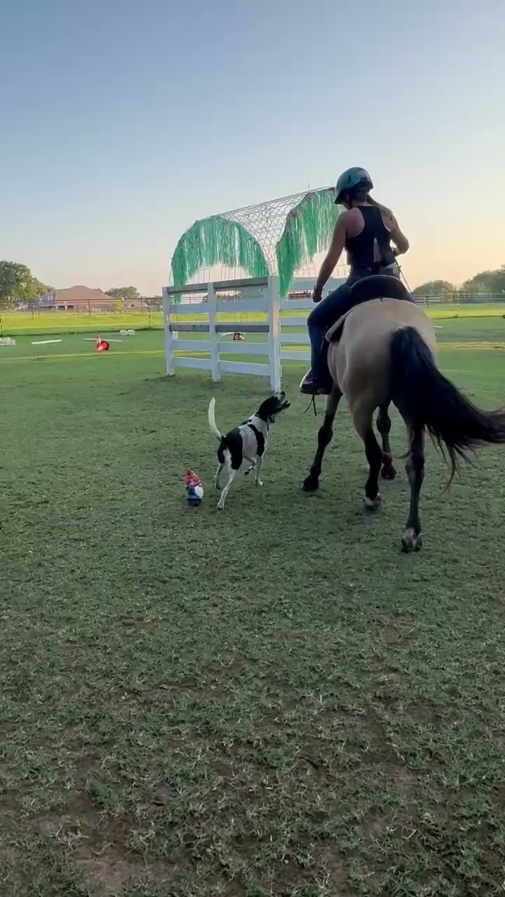 Puppy Program