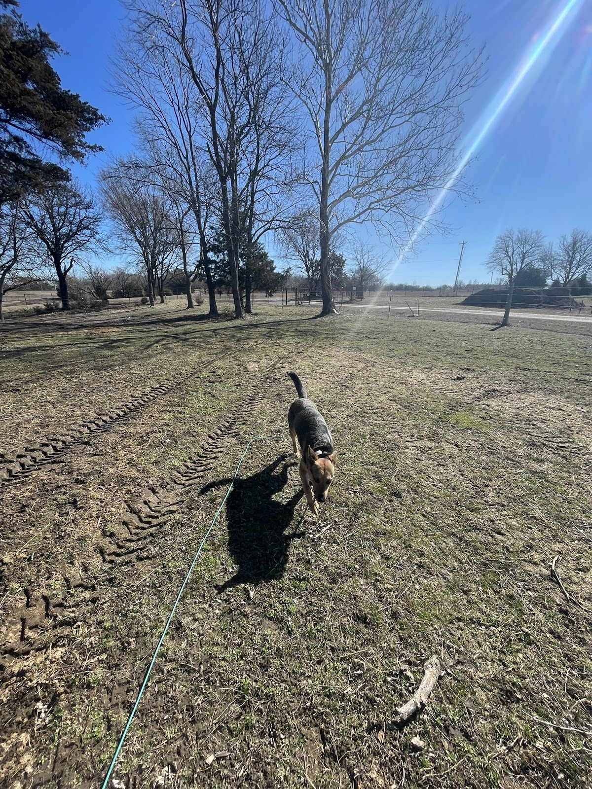 Farm Life
