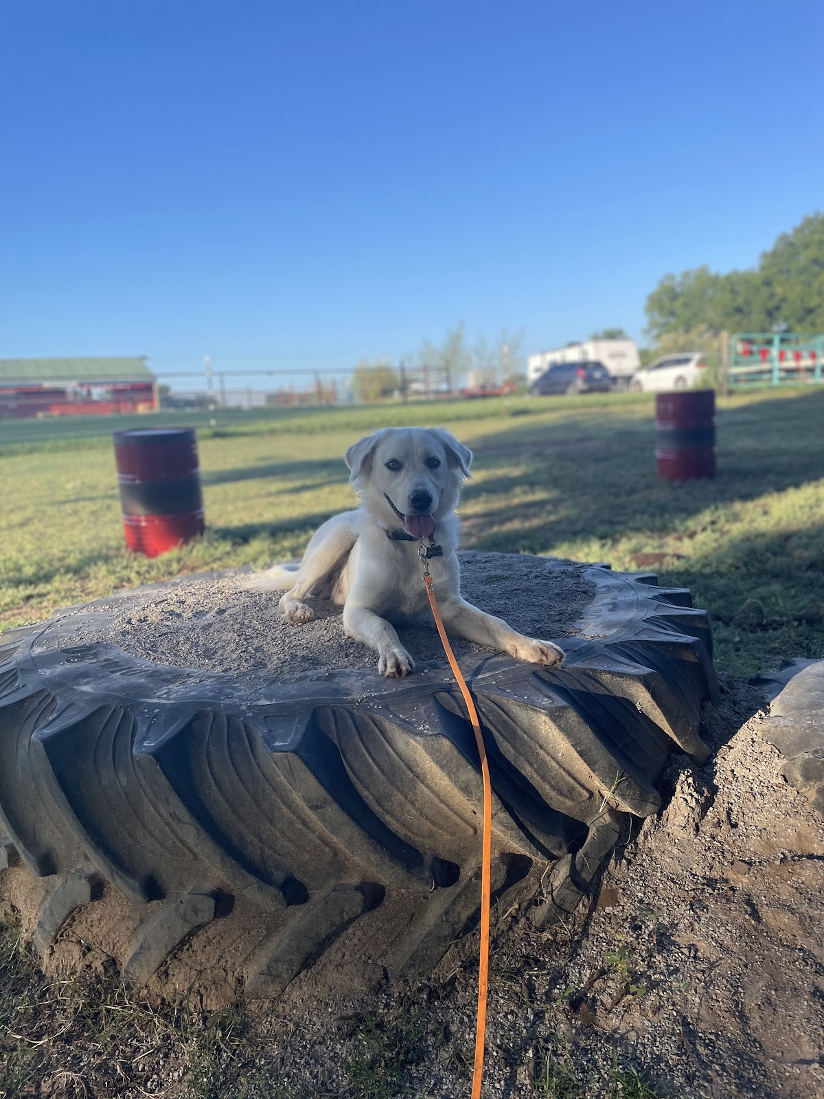 Training Day